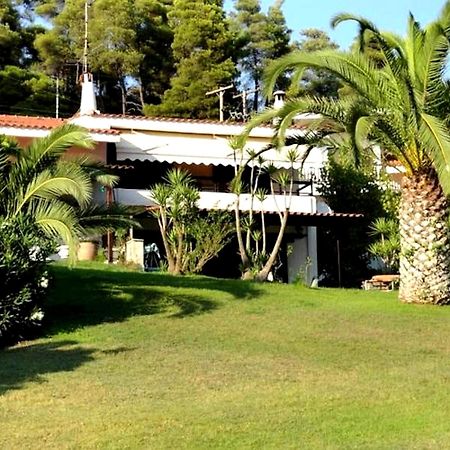 Beachfront Villa 100M From Sea For Up To 10 Guests シビリ エクステリア 写真