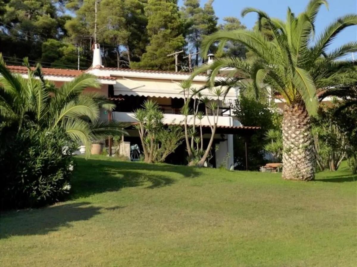Beachfront Villa 100M From Sea For Up To 10 Guests シビリ エクステリア 写真
