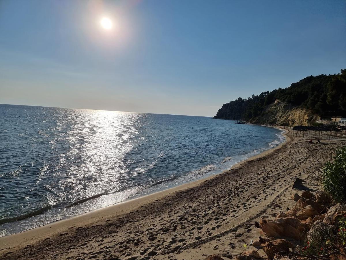 Beachfront Villa 100M From Sea For Up To 10 Guests シビリ エクステリア 写真