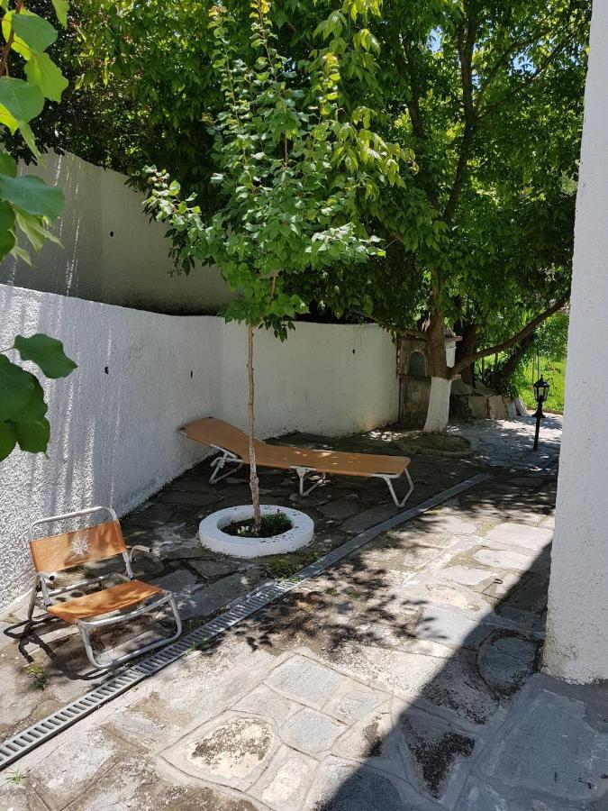 Beachfront Villa 100M From Sea For Up To 10 Guests シビリ エクステリア 写真
